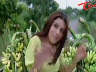 Swagatham Songs -  Unnannalu Haayiga - Jagapathi Babu - Anushka