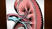 The Five Significant Stages of Kidney Failure