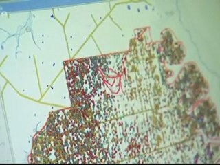 Le commerce du bois tropical menace-t-il la survie des gorilles (Xenius)