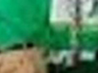 Orlando Breeze Movers