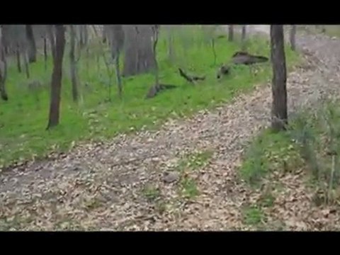 Oak Point Home For Sale |Lake Homes For Sale In Texas