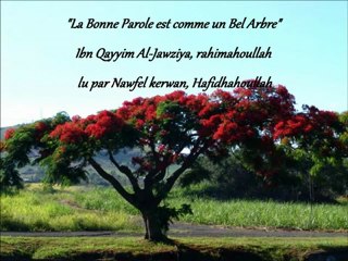 La Bonne Parole est comme un Bel Arbre (Ibn Qayyim Al-Jawziya)