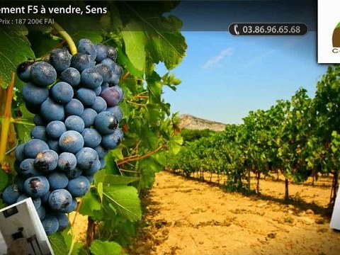 Appartement F5 à vendre, Sens
