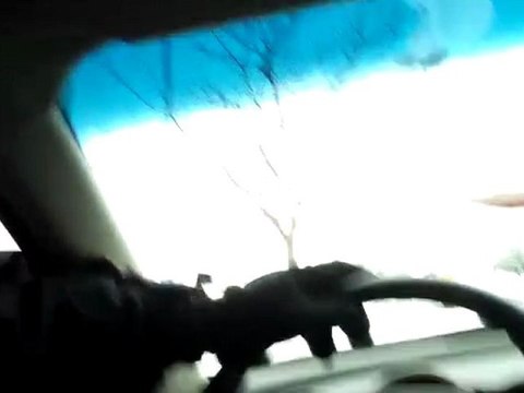 Used 2004 Nissan Maxima SL for sale at Honda Cars of Bellevue...an Omaha Honda Dealer!