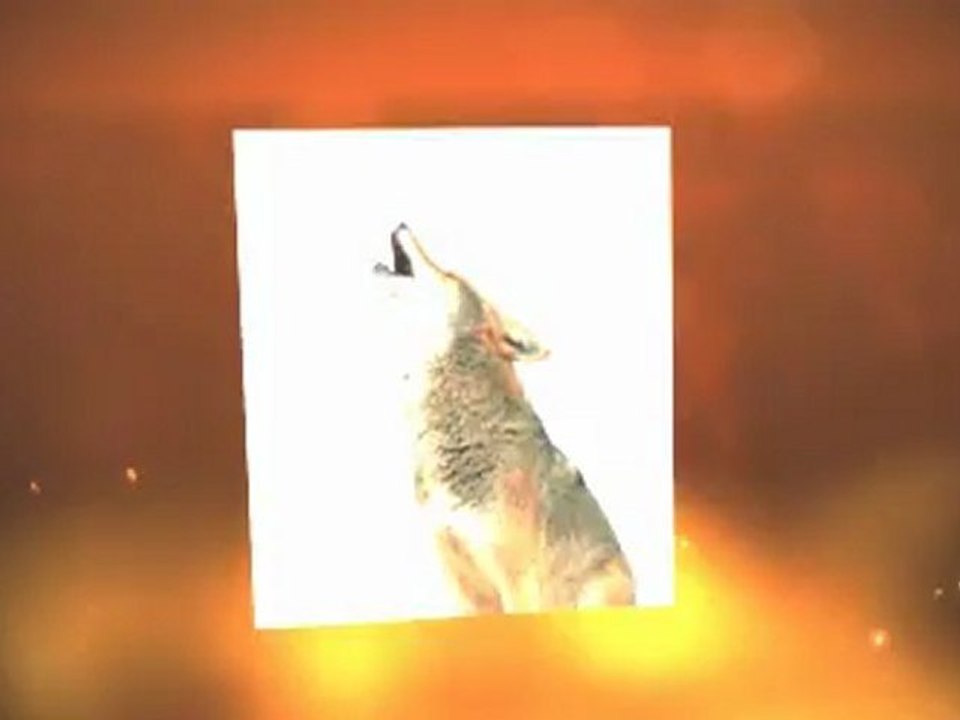 Various Global Warming Facts Today