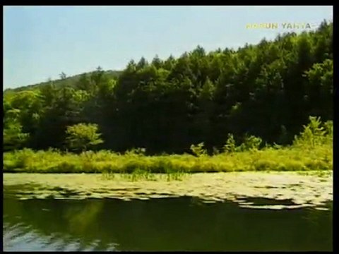 Risalei Nur Kulliyatinda Hz Isa ve Hz Mehdi Gercegi 2. Bölüm