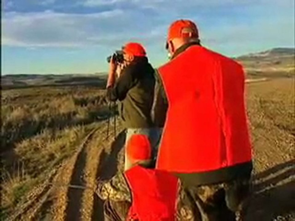 Pronghorn Hunt