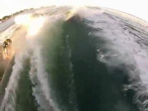Surfing Dolphins on St. Pete Beach