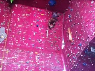 2012-02-09_inter-régions-escalade