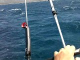 Petit tour de KITE     Corse du sud
