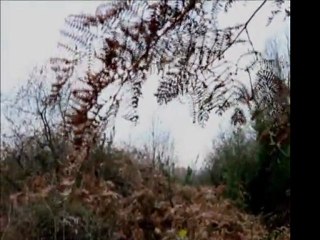 Karmate - Arja Bargış