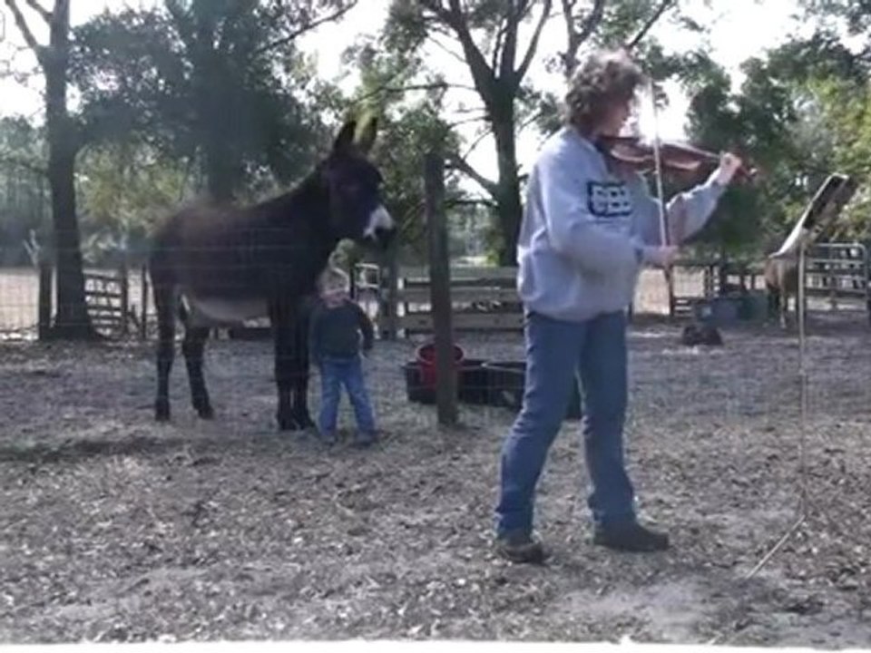 un-ane-qui-chante