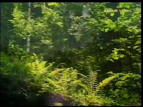 Risalei Nur Kulliyatinda Hz Isa ve Hz Mehdi Gercegi 3. Bölüm