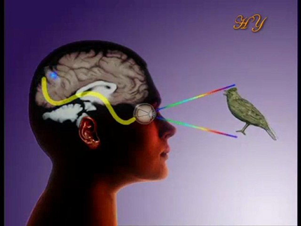 Maddenin Ardındaki Sır