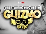 GUIZMO CHAT PERCHE L'ENTOURAGE  NOUVEL ALBUM LE 16 AVRIL