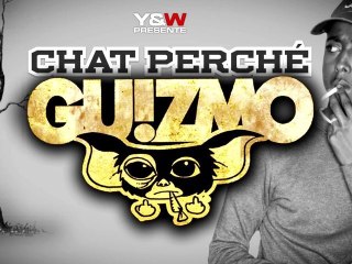 GUIZMO CHAT PERCHE L'ENTOURAGE  NOUVEL ALBUM LE 16 AVRIL