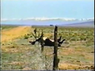 OVNI examen des preuves 1