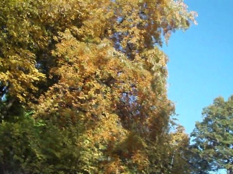 Hall of Fame 2011 Nürnberg (HD VIDEO)