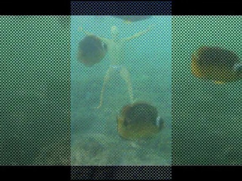 Vidéo rétrospective - Michael Louys - Saison 2011