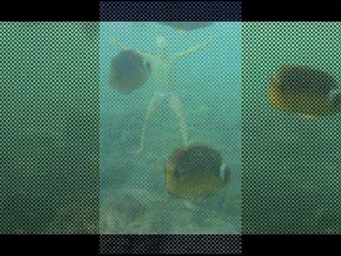 Vidéo rétrospective - Michael Louys - Saison 2011