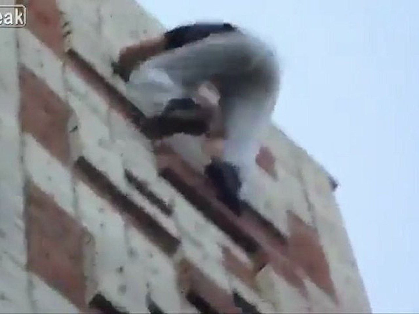 ⁣Russian Spiderman