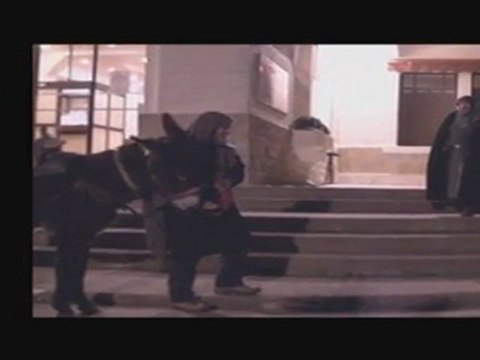 TELETHON 2011 : La légende du Gouffre de Padirac illustrée (Lot-46)