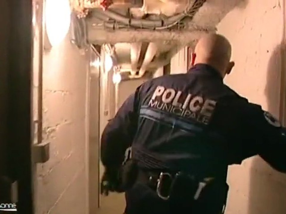 Brigade canine de Massy, les coulisses