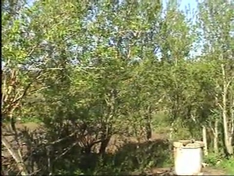 duman duman olmuş karşıki dağlar