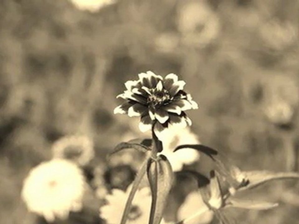 barbie living 1970 sur une chanson  de sylvie vartan