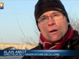 La Loire gelée : un beau spectacle pour les habitants de Blois