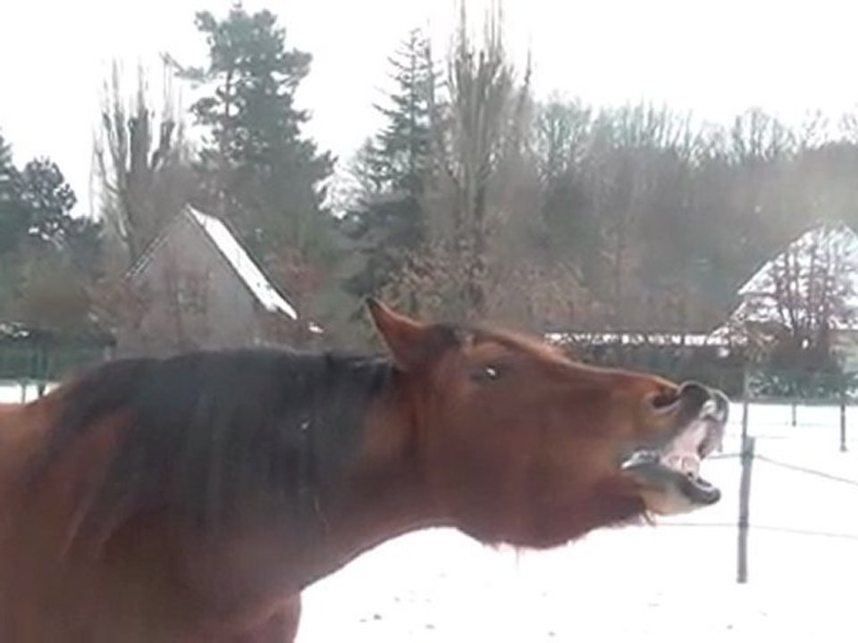 08.02.2012.zc.tenebra
