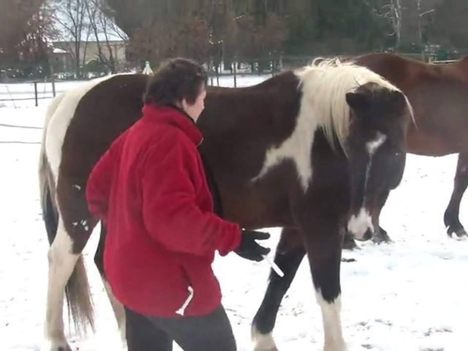 08.02.2012.zd.nasdak