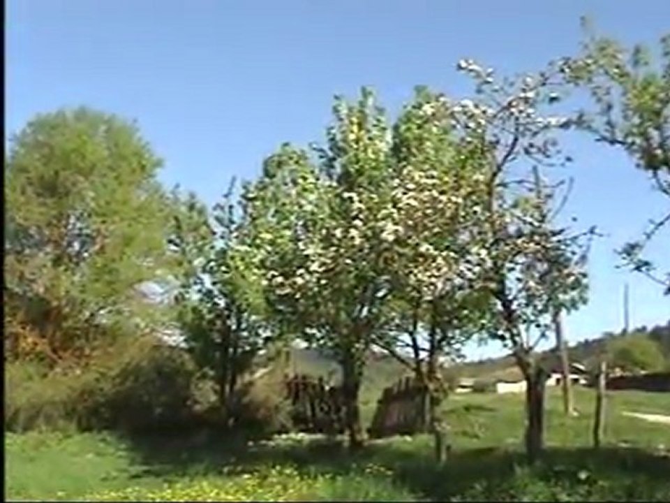 yüce dağ başında bir tutam kekik