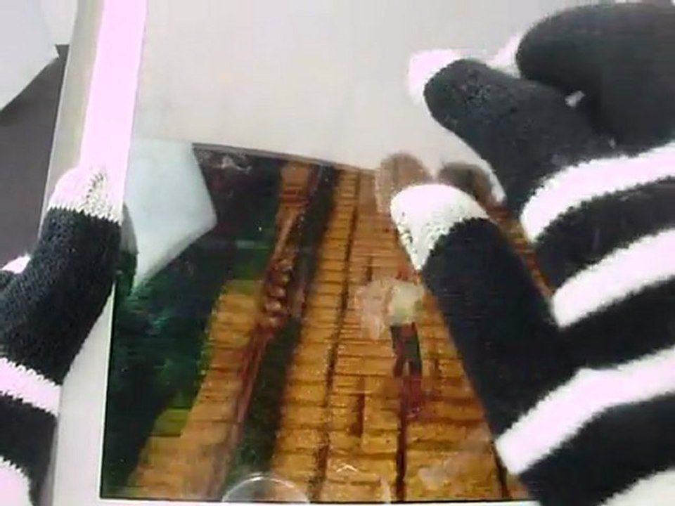 Capatouch Gloves for iPhone iPod iPad SmartPhone Tablets