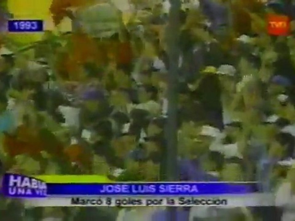Gol de Jose Luis Sierra a Brasil, Copa America 1993