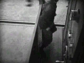 Metropolis (6/8) - LiveShow by Actuel Remix / Arfi - "Riot"