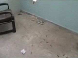 فري برس   شرح كامل  لمواقع تربع بقناصات الشبيحة في مدرسة محمد حوا 7 2 2012