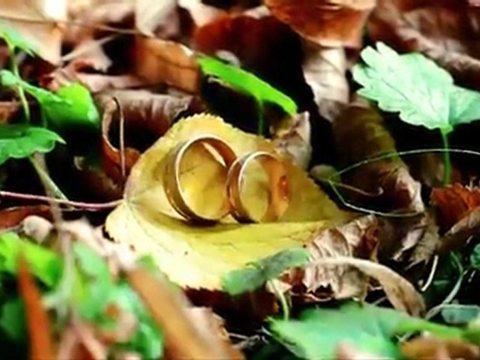 Свадебный клип (Киев) / Wedding (Kiev) (HD)