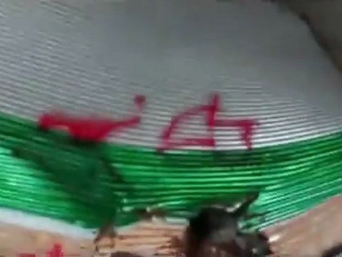 فري برس حماة كفرزيتا تخريب احد المحال التجارية فقط لوجود علم الاستقلال عليه 7 2 2012