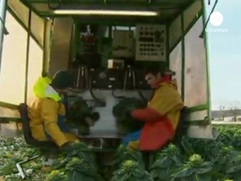 Météo : les prix des légumes légumes d'hiver vont...