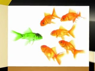 16 Essential Creative Brief Questions Video