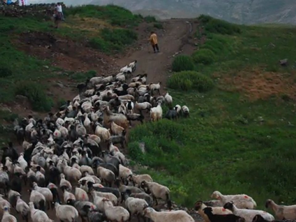 bir gün güneş doğacak uğur IŞILAK