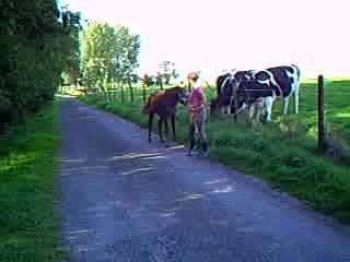 CLIP0008