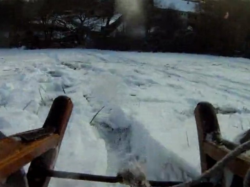 Luge (1)