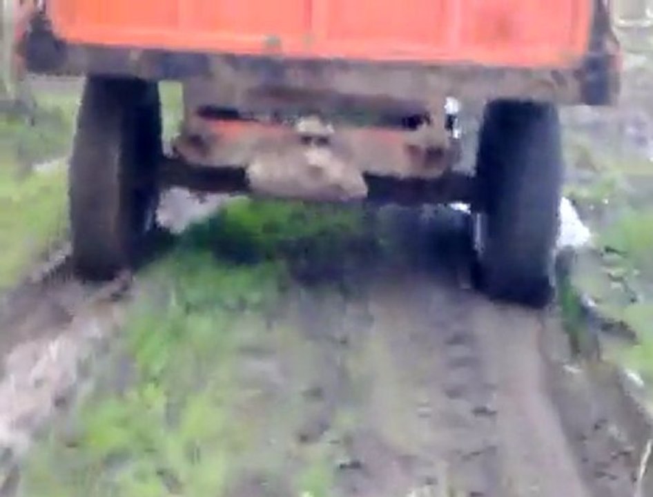 İşbora Dehşet Asılıyor