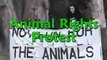 [ALF] - Front de Libération Animale - Protestaion pour les droits des animaux - Animal_Rights_Protest