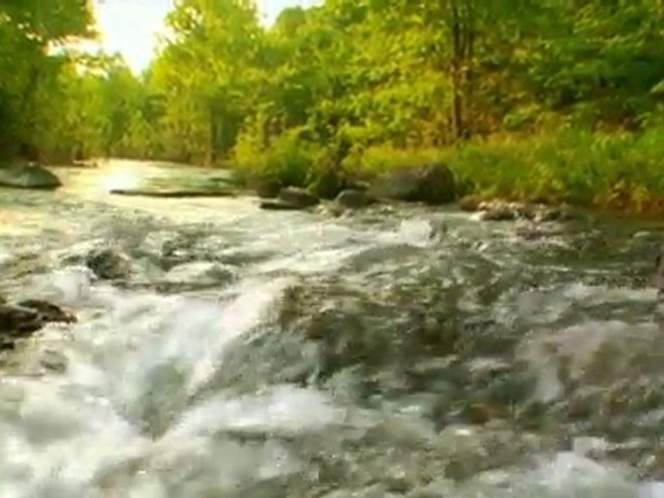 (15/20) Home Business Training: Truth About Bottled Water