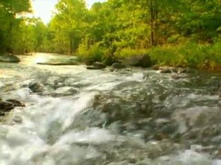 (15/20) Home Business Training: Truth About Bottled Water