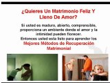 Consejos Para Evitar El Divorcio, Problemas Matrimoniales