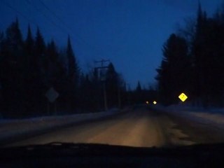 Rencontre de chevreuils sur la route au Québec